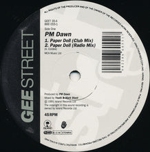 Load image into Gallery viewer, P.M. Dawn : Paper Doll (12", Single)
