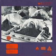 Load image into Gallery viewer, The Alan Parsons Project : Ammonia Avenue (LP, Album, Son)
