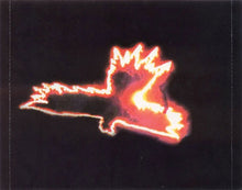 Load image into Gallery viewer, Good Riddance : Operation Phoenix (CD, Album)
