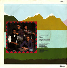 Load image into Gallery viewer, Big Country : Wonderland (7&quot;, Single)
