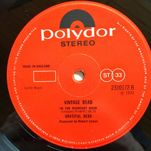 Load image into Gallery viewer, Grateful Dead* : Vintage Dead (LP, Album)
