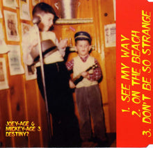 Load image into Gallery viewer, Sibling Rivalry : In A Family Way (CD, Maxi)
