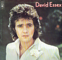 Load image into Gallery viewer, David Essex : David Essex (LP, Album)
