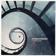 Load image into Gallery viewer, Amoeba Assassin : Rollercoaster (12")
