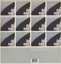 Load image into Gallery viewer, Amoeba Assassin : Rollercoaster (12")

