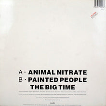 Load image into Gallery viewer, Suede : Animal Nitrate (12", Single)
