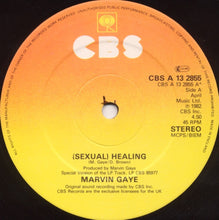 Load image into Gallery viewer, Marvin Gaye : (Sexual) Healing (Club Mix) (12&quot;, Single)

