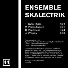 Load image into Gallery viewer, The Durian Brothers / Ensemble Skalectrik : Split Series #22 (12&quot;)
