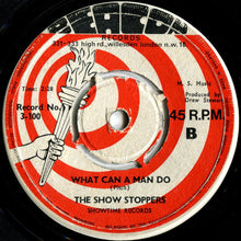 Load image into Gallery viewer, The Show Stoppers : Ain't Nothing But A House Party (7", Single)
