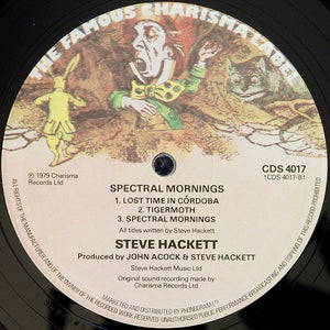 Steve Hackett : Spectral Mornings (LP, Album)