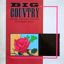 Load image into Gallery viewer, Big Country : Where The Rose Is Sown (Extended Remix) (12&quot;, Single)
