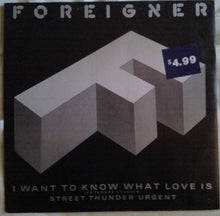 Load image into Gallery viewer, Foreigner : I Want To Know What Love Is (Extended Version) (12&quot;, Single, Dam)
