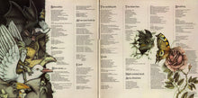 Load image into Gallery viewer, Kate Bush : Never For Ever (LP, Album, Gat)
