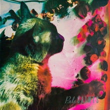 Load image into Gallery viewer, Pale Saints : The Comforts Of Madness (LP, Album)
