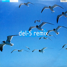 Load image into Gallery viewer, Reset : Runaway Dub (12")

