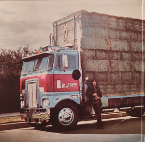 Gram Parsons : GP (LP, Album, RE, 180)
