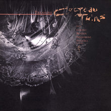 Load image into Gallery viewer, Cocteau Twins : Treasure (LP, Album)
