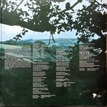 Load image into Gallery viewer, Steve Howe : Beginnings (LP, Album)
