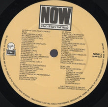 Load image into Gallery viewer, Various : Now That&#39;s What I Call Music II (2xLP, Album, Comp)
