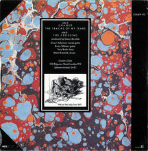 Load image into Gallery viewer, Big Country : Chance (12&quot;, Single)
