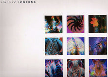 Load image into Gallery viewer, Startled Insects : Curse Of The Pheromones (LP, Album)
