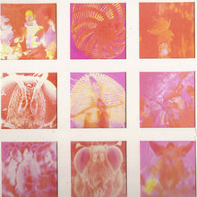 Load image into Gallery viewer, Startled Insects : Curse Of The Pheromones (LP, Album)
