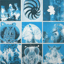 Load image into Gallery viewer, Startled Insects : Curse Of The Pheromones (LP, Album)
