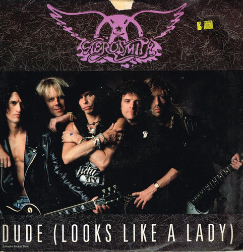 Aerosmith : Dude (Looks Like A Lady) (12