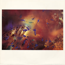 Load image into Gallery viewer, Cocteau Twins : Victorialand (LP, Album)
