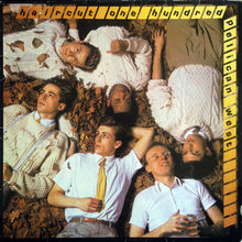 Load image into Gallery viewer, Haircut One Hundred : Pelican West (LP, Album)
