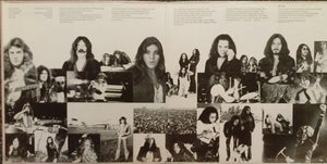 Deep Purple : Come Taste The Band (LP, Album, Ter)