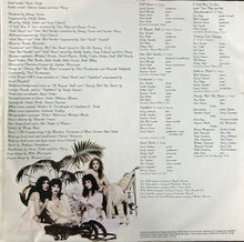 Load image into Gallery viewer, Stevie Nicks : The Wild Heart (LP, Album)
