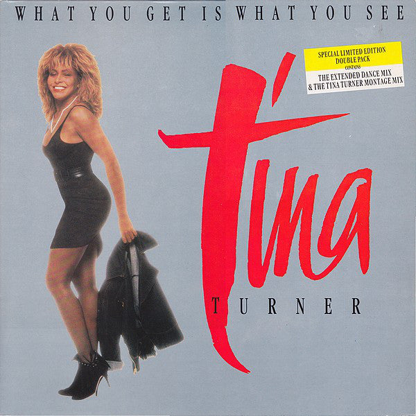 Tina Turner : What You Get Is What You See (2x12