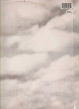 Load image into Gallery viewer, Enya : Orinoco Flow (Sail Away) (12")
