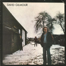 Load image into Gallery viewer, David Gilmour : David Gilmour (LP, Album, RE)
