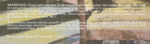 Load image into Gallery viewer, Rod Stewart : Never A Dull Moment (LP, Album, Gat)
