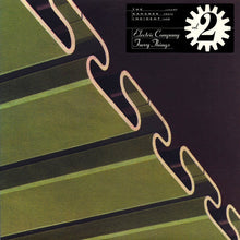 Load image into Gallery viewer, Electric Company / Furry Things : The Kahanek Incident Vol. 2 (12")
