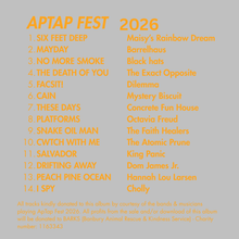 Load image into Gallery viewer, Various Artists - Another Music in a Different Kitten (ApTap Fest '26 Compilation CD)
