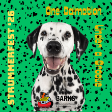 Load image into Gallery viewer, Various Artists - One Dalmation Under A Groove (STRUMMERFEST '26 Compilation CD)
