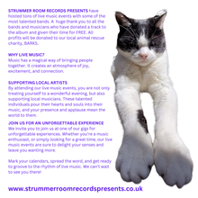 Load image into Gallery viewer, Strummer Room Records Presents... PET SOUNDZ - VOL.2 (Limited Edition CD Compilation
