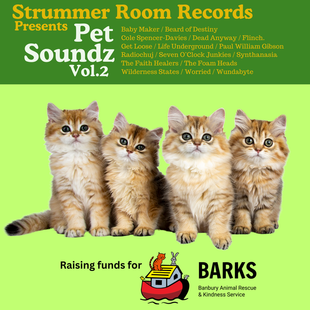 Strummer Room Records Presents... PET SOUNDZ - VOL.2 (Limited Edition CD Compilation
