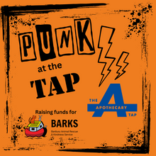 Load image into Gallery viewer, Strummer Room Records Presents... PUNK AT THE TAP (Limited Edition CD Compilation)
