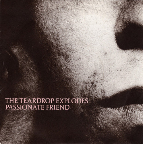 The Teardrop Explodes : Passionate Friend (7
