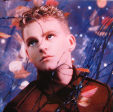 Load image into Gallery viewer, Erasure : Wild! (LP, Album)

