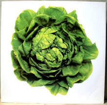 Load image into Gallery viewer, Squeeze (2) : Frank (LP, Album)
