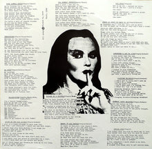 Load image into Gallery viewer, Stupids : Retard Picnic (LP, Album)
