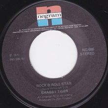 Load image into Gallery viewer, Shabby Tiger : The Devil Rides Tonight (7&quot;, Single)
