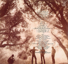 Load image into Gallery viewer, Bread : Baby I&#39;m-A Want You (LP, Album, Gat)
