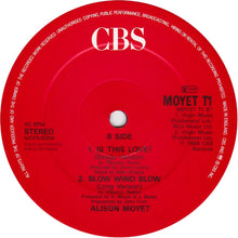 Load image into Gallery viewer, Alison Moyet : Is This Love? (12&quot;)
