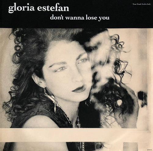 Gloria Estefan : Don't Wanna Lose You (12